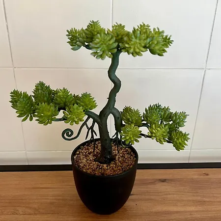 Unico House Naxos Daire